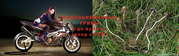 трава Балахна