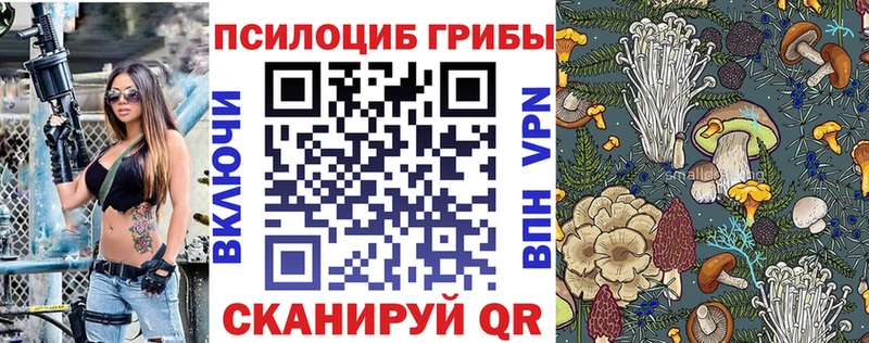как найти   Лесосибирск  Псилоцибиновые грибы Psilocybine cubensis 